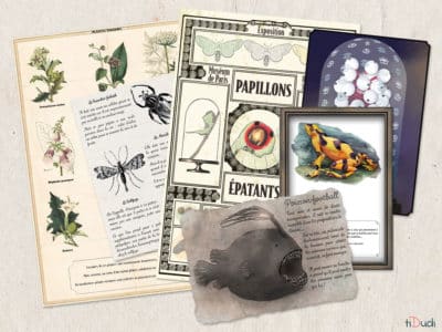 Escape game Le Cabinet de Curiosités du Dr Salsifis. Les créatures et plantes étranges. Un jeu tiDudi
