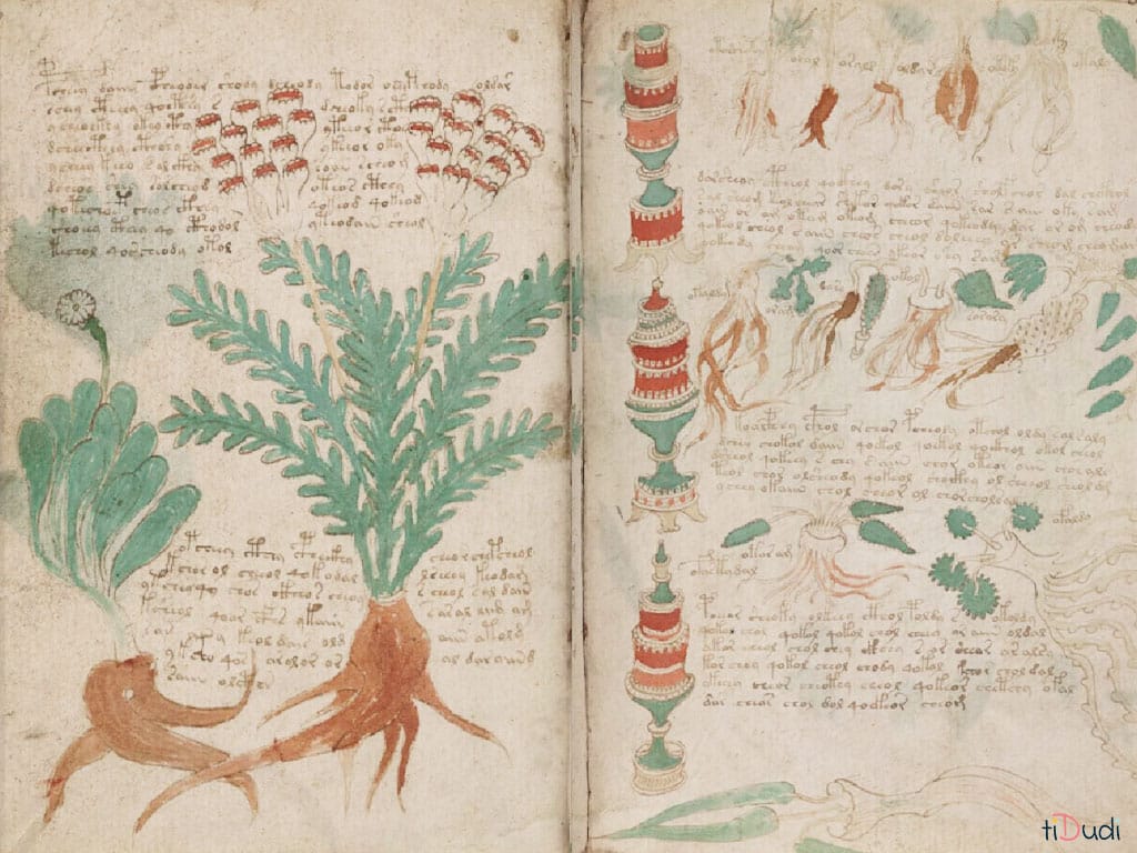 Le manuscrit de Voynich Le manuscrit de Voynich. Image retouchée depuis la source CNN